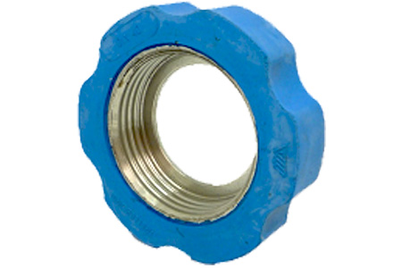 DIN 11851 NUT WITH RUBBER PROTECTION SS 304 INPART24 Variant DINNR025